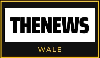 TheNewswale